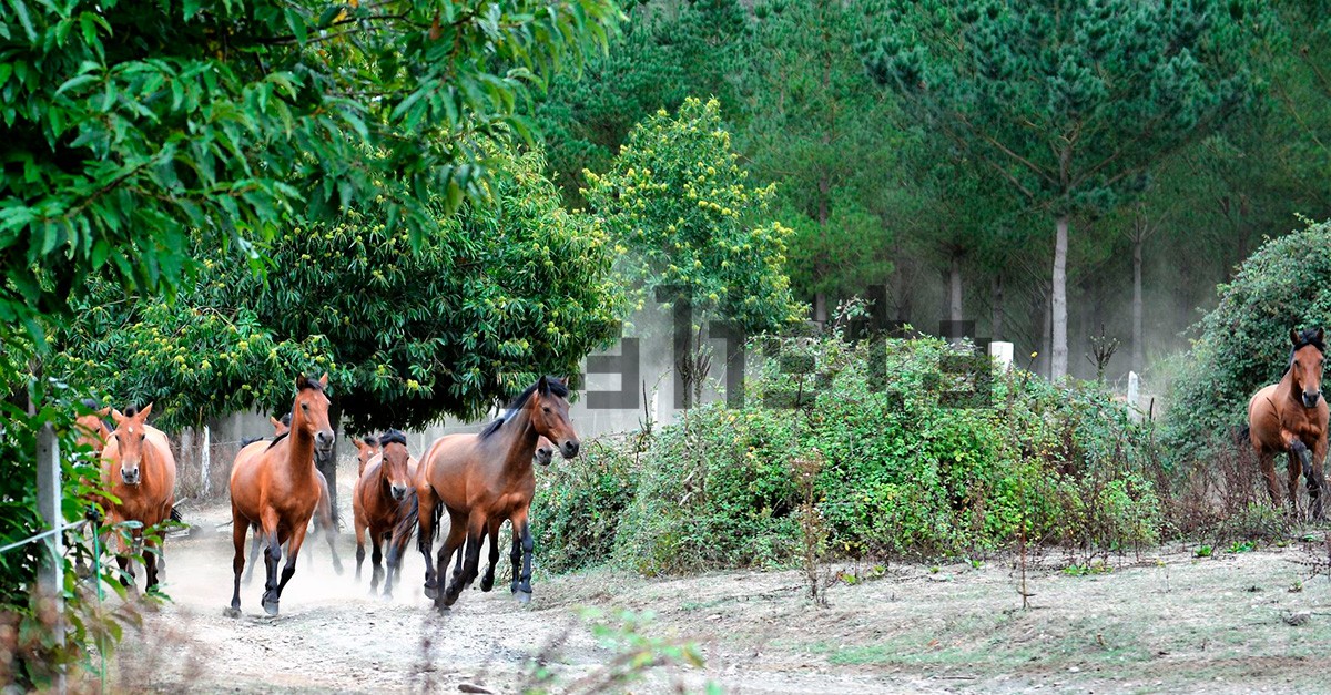 Rodeada de naturaleza