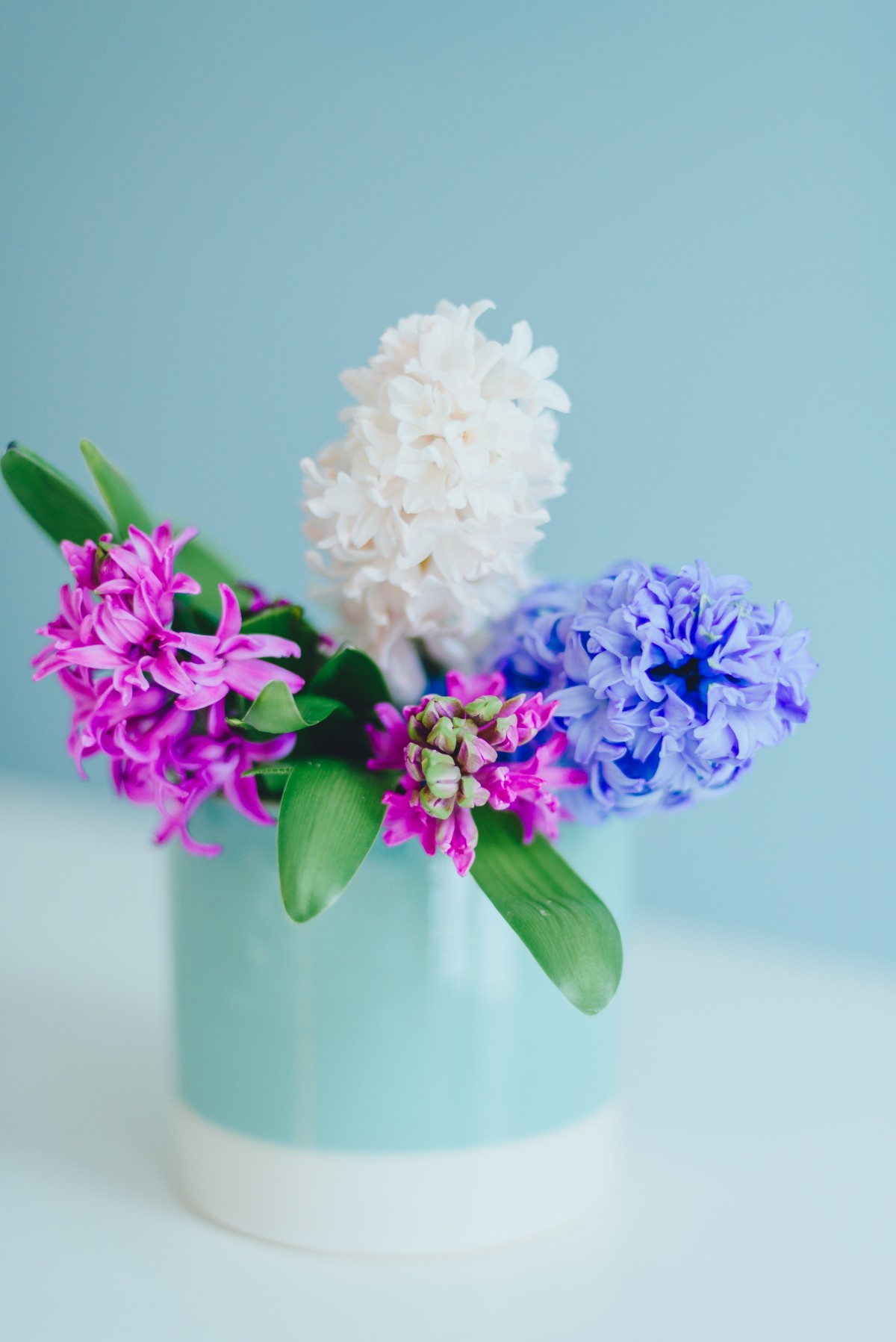 Por qué debes decorar con plantas el baño de casa