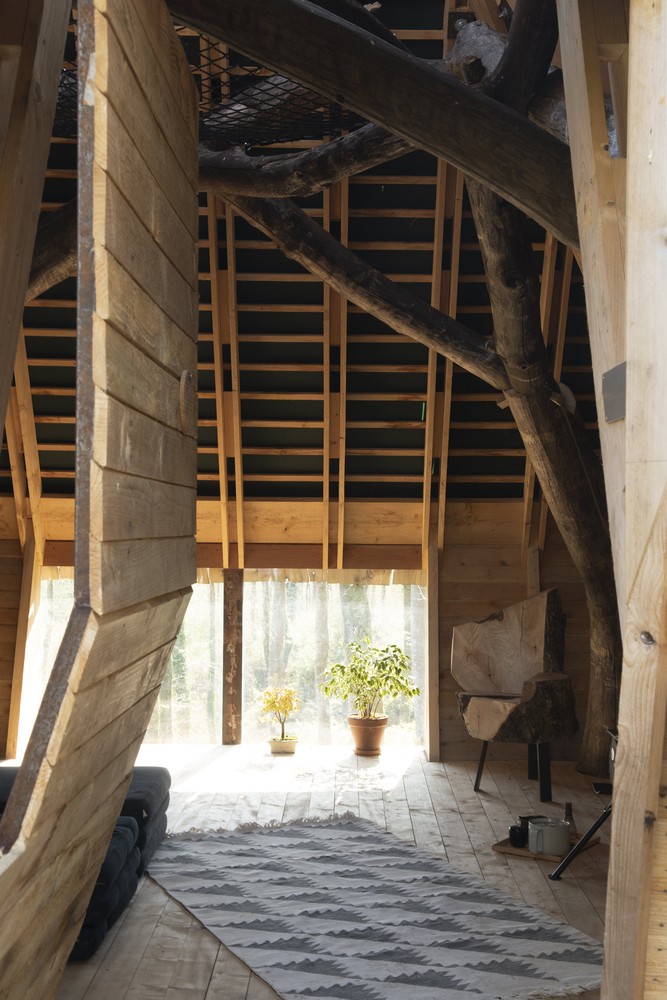 El árbol forma parte del diseño interior