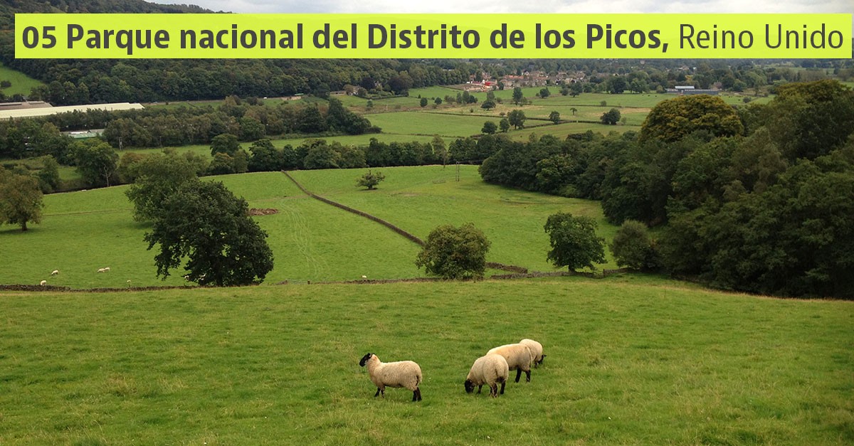 Distrito de los Picos