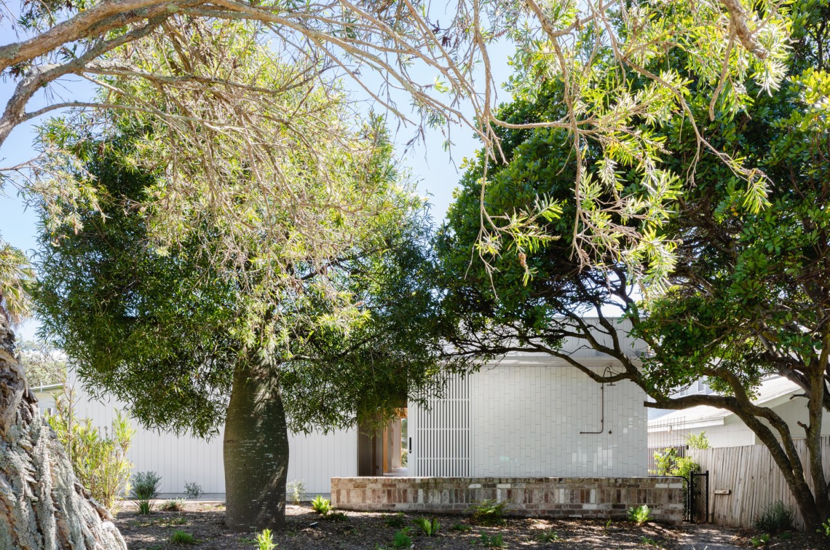 La casa está rodeada de árboles