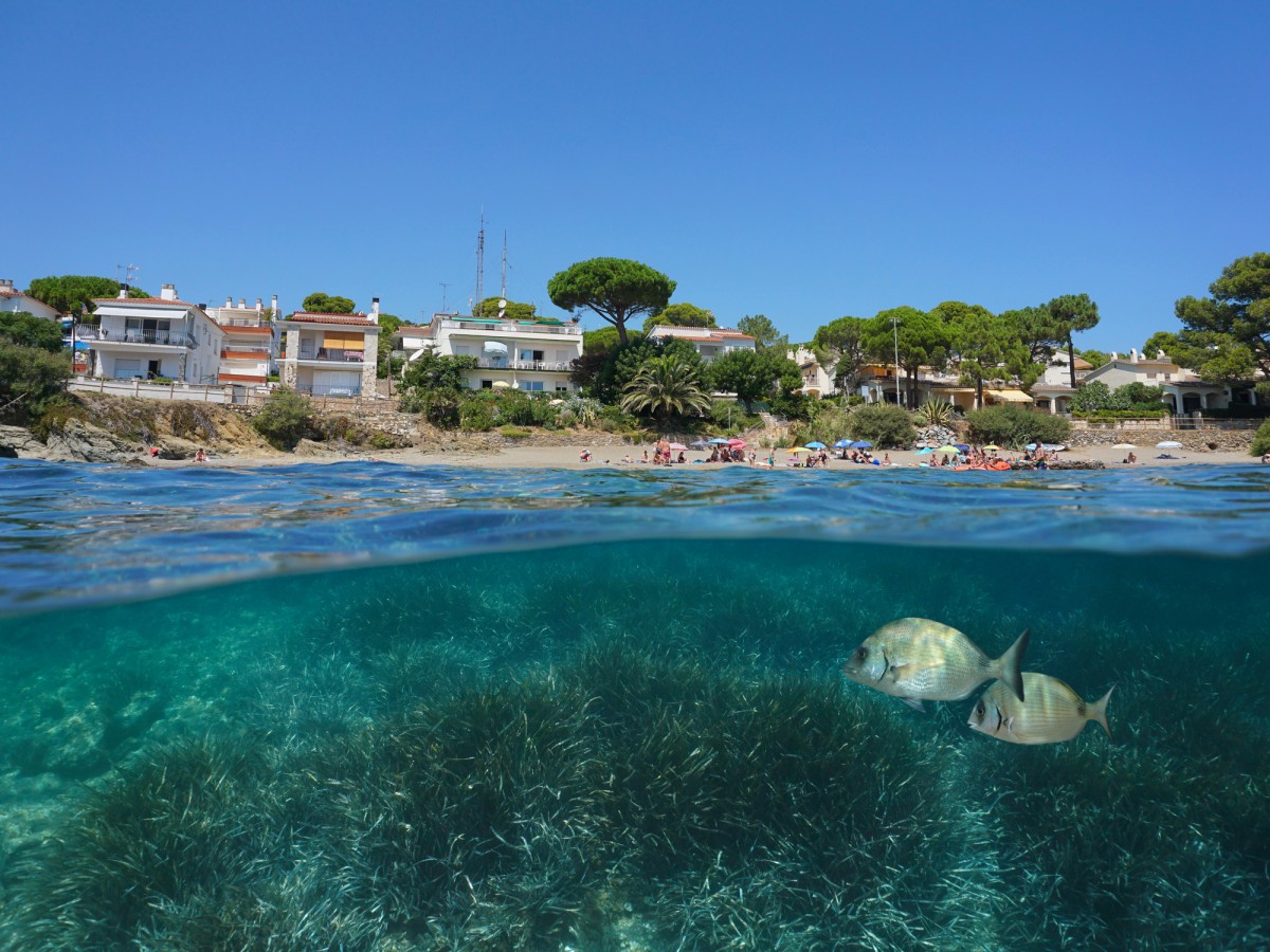 Llançà, playa el Rastell