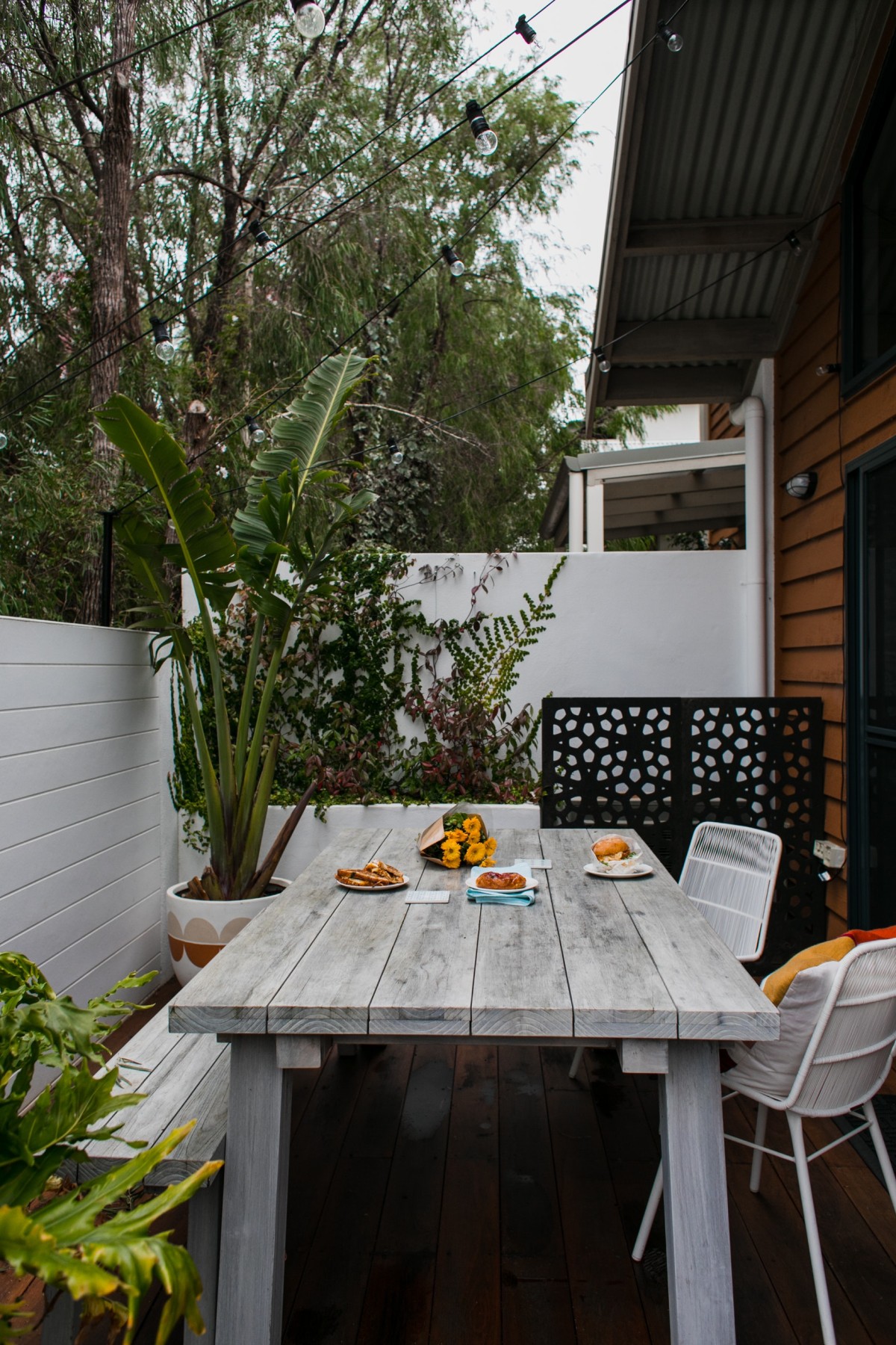 Plantas naturales para ocultar tu terraza