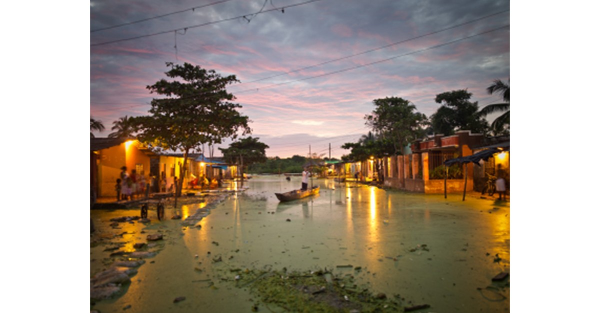 Obra de JOSÉ MARÍA MELLADO