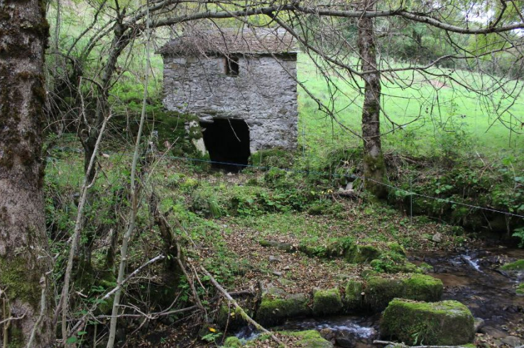 Cohousing en Galicia
