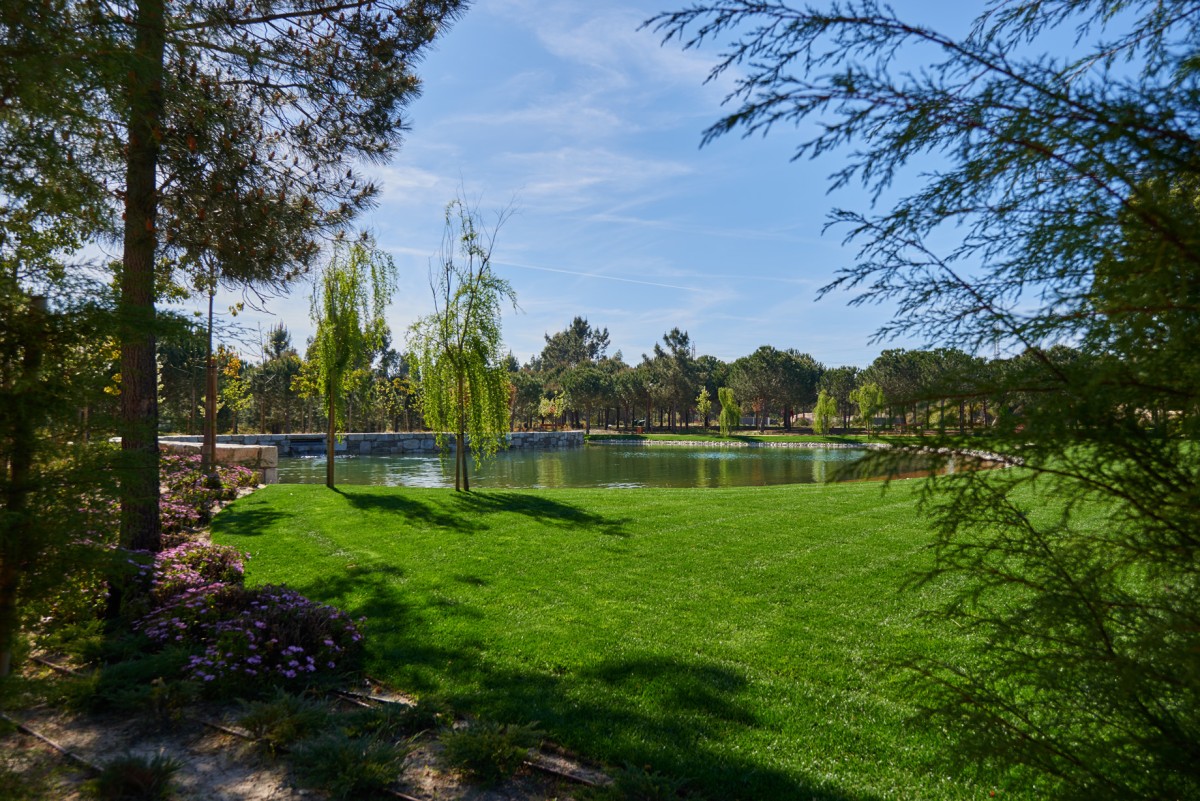 casas nuevas en el margen sur