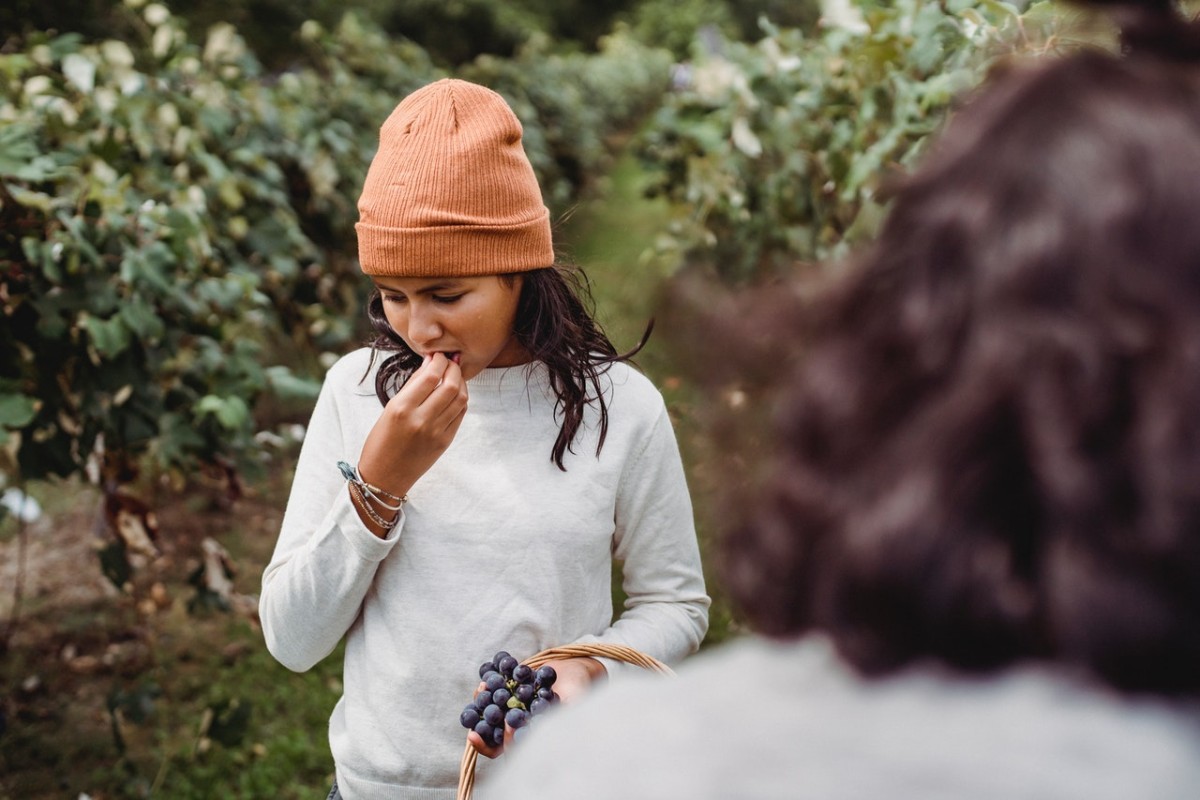 Cómo cultivar un huerto en casa: consejos para principiantes y mucho más