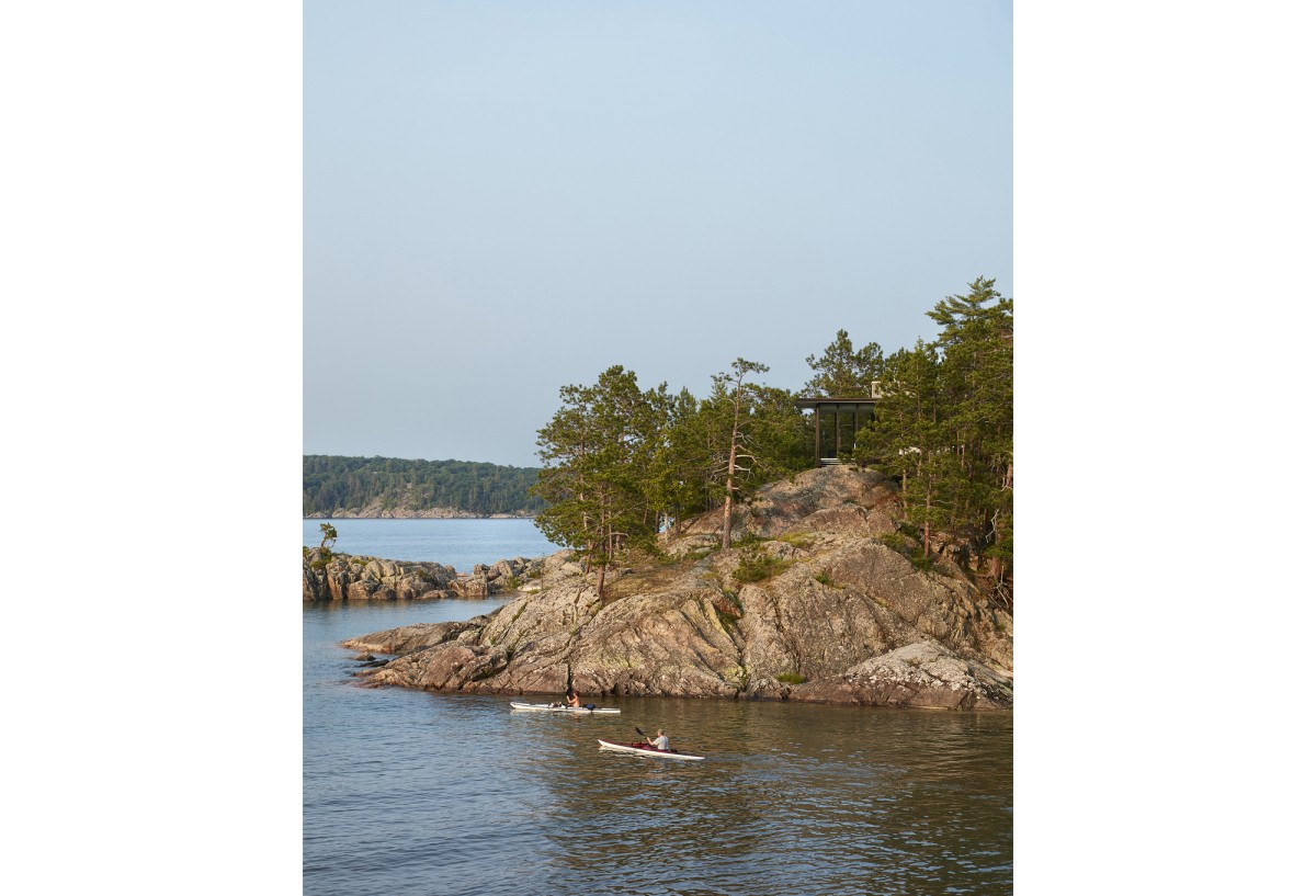 Naturaleza que rodea a X House