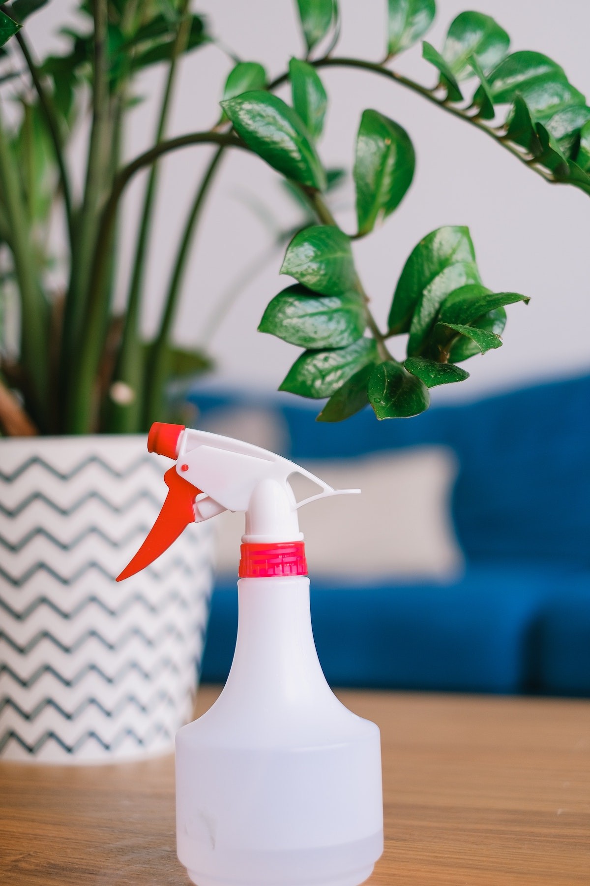 Cómo mantener la casa fresca en verano