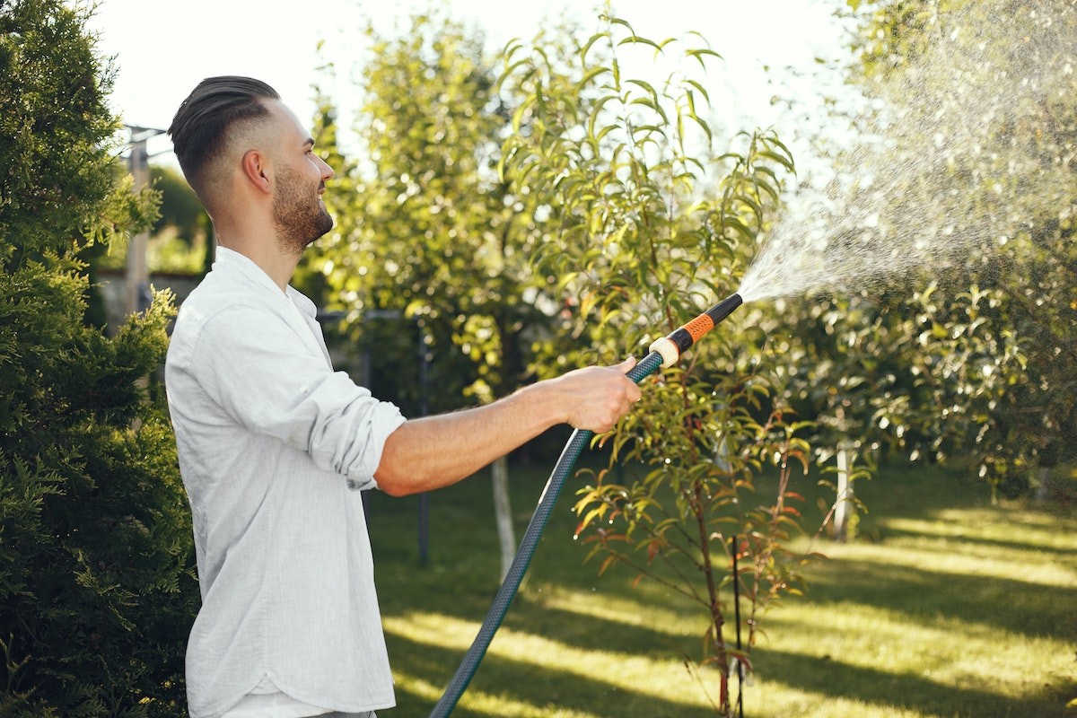 Cómo limpiar y mantener el césped artificial (con todos los artículos que  necesitas, incluyendo un spray que huele a hierba recién cortada)