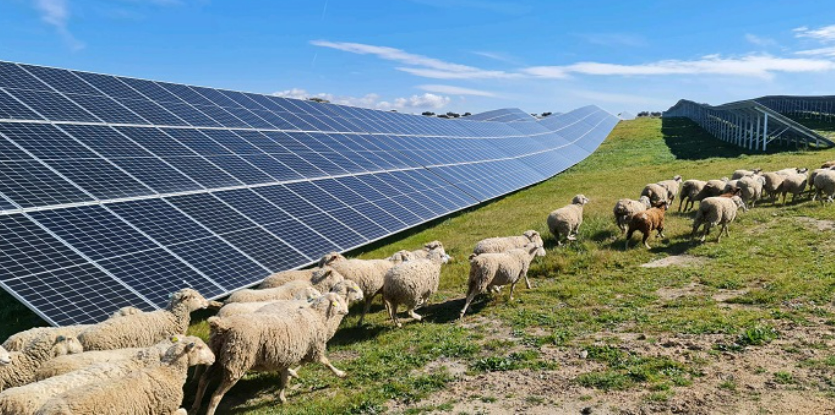 La revolución de los paneles solares llega a los pisos: sin obras y para balcones o toldos