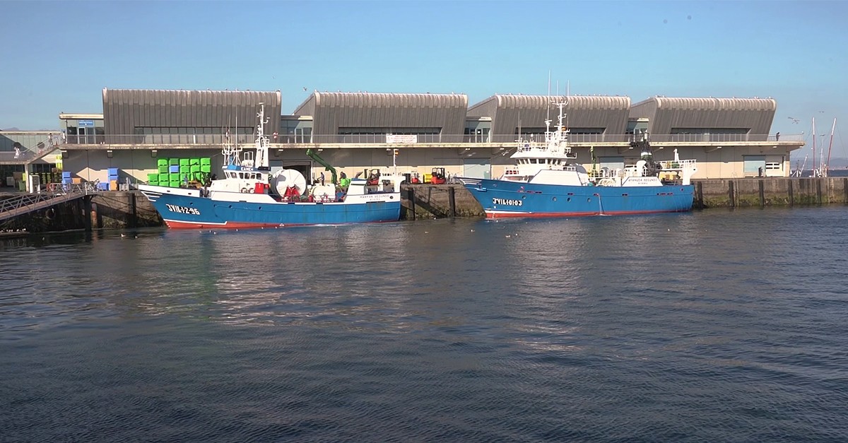 Así funciona la lonja de pescado de Ribeira (A Coruña), de las más grandes de Europa