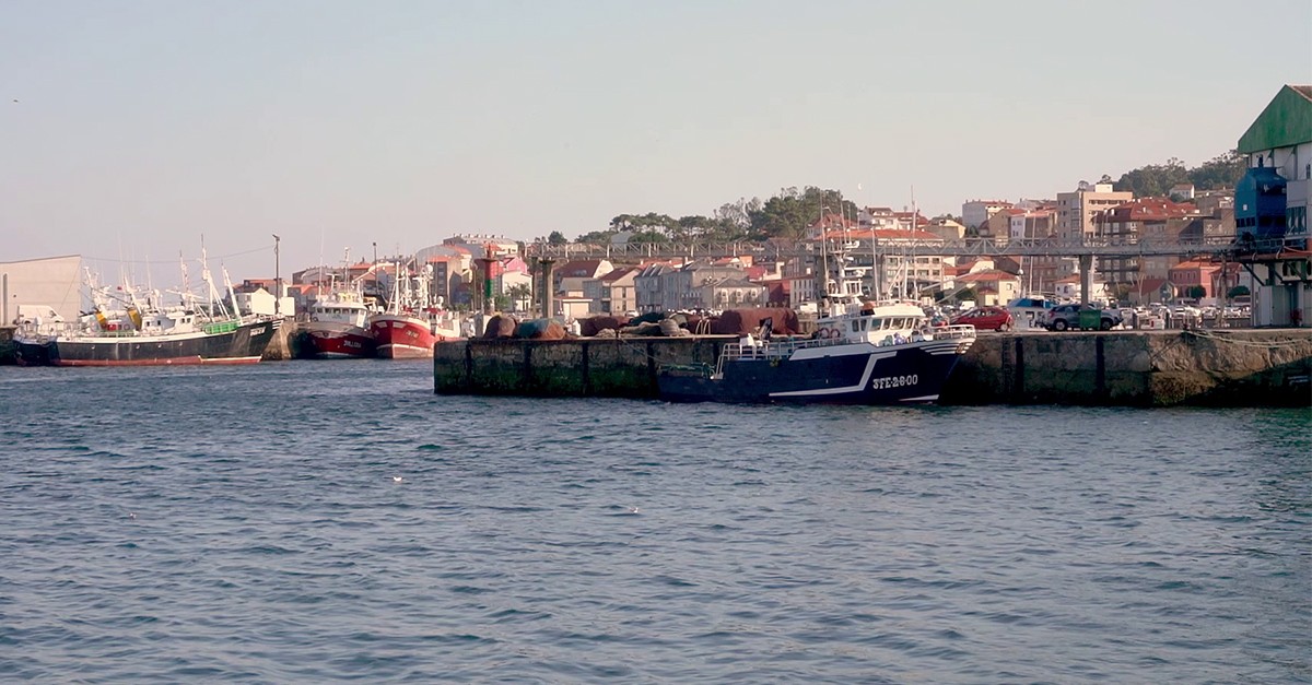 Así funciona la lonja de pescado de Ribeira (A Coruña), de las más grandes de Europa