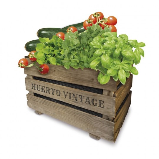 Huertos portátiles para cultivar en tu casa: precios y modelos