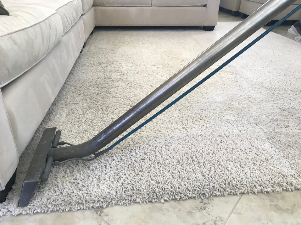 cómo limpiar alfombras