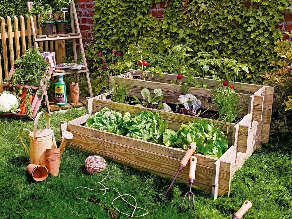 Huerto urbano, qué plantar en tu huerta en la terraza