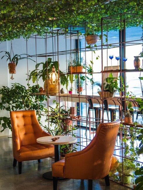 Las claves para dar vida a tu jardín interior, el oasis perfecto de tu casa