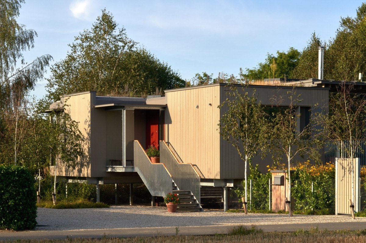 Entrada trasera y vista de los pilotes