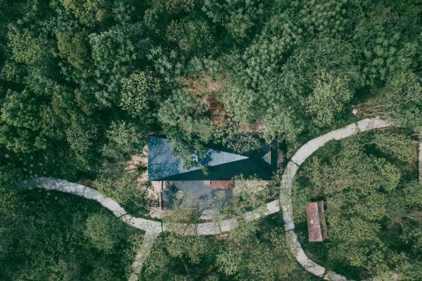 Desde el aire se puede apreciar la teja carbonizada