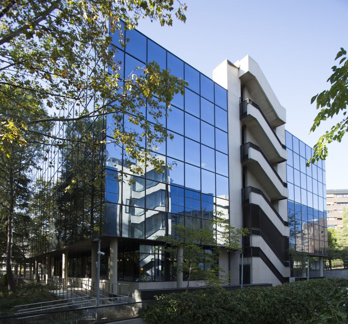 Sede de Sareb