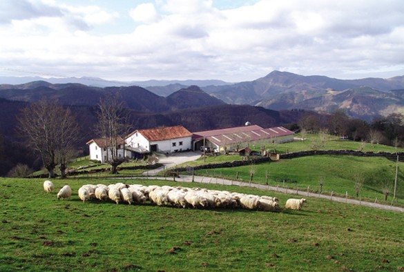 Nueva vida al País Vasco ‘vaciado’: Beizama levantará 12 VPO de alquiler para jóvenes