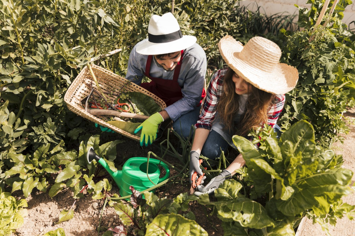 ¿Se puede construir un huerto en la terraza o jardín?