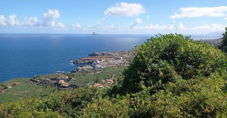 Terreny urbà en venda per 30.500 euros a Tenerife