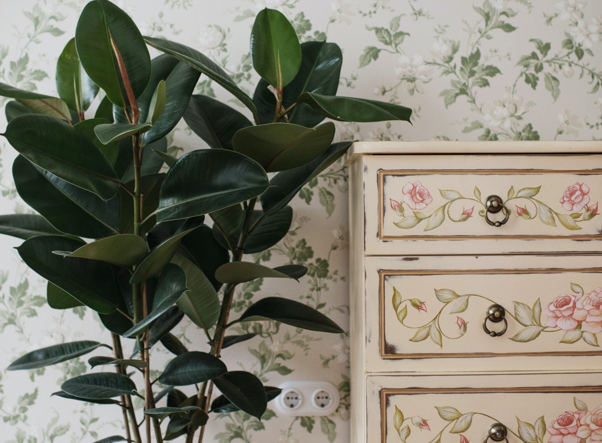 cCómo decorar una casa con poco dinero