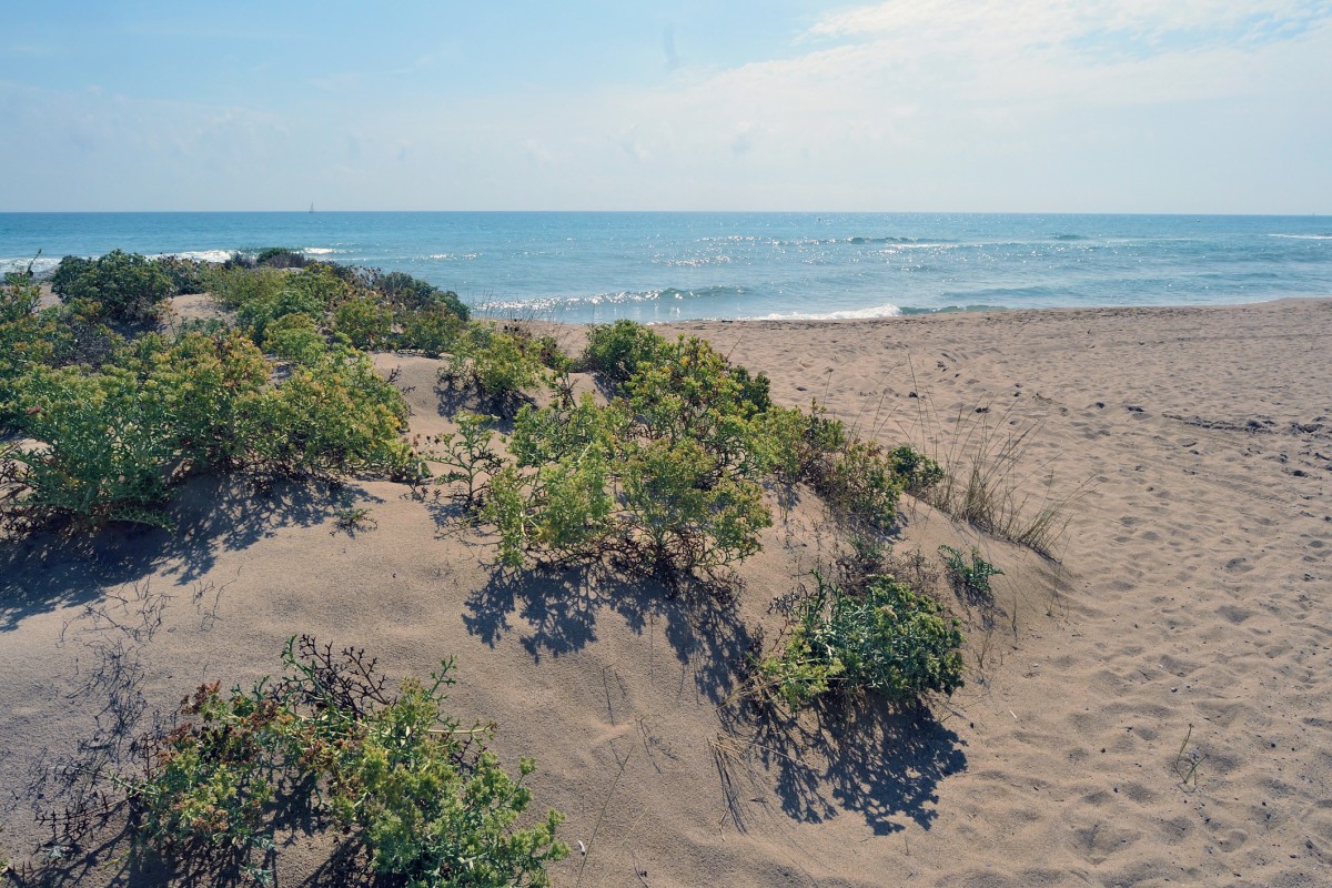 Playa de Viladecans en el Delta del Llobregat y zona de dunas