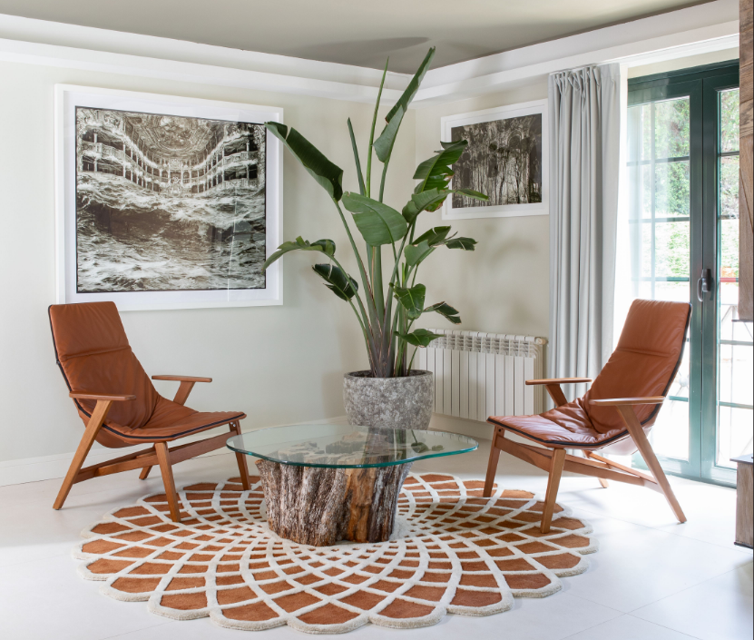 Con dos sillones y una gran planta