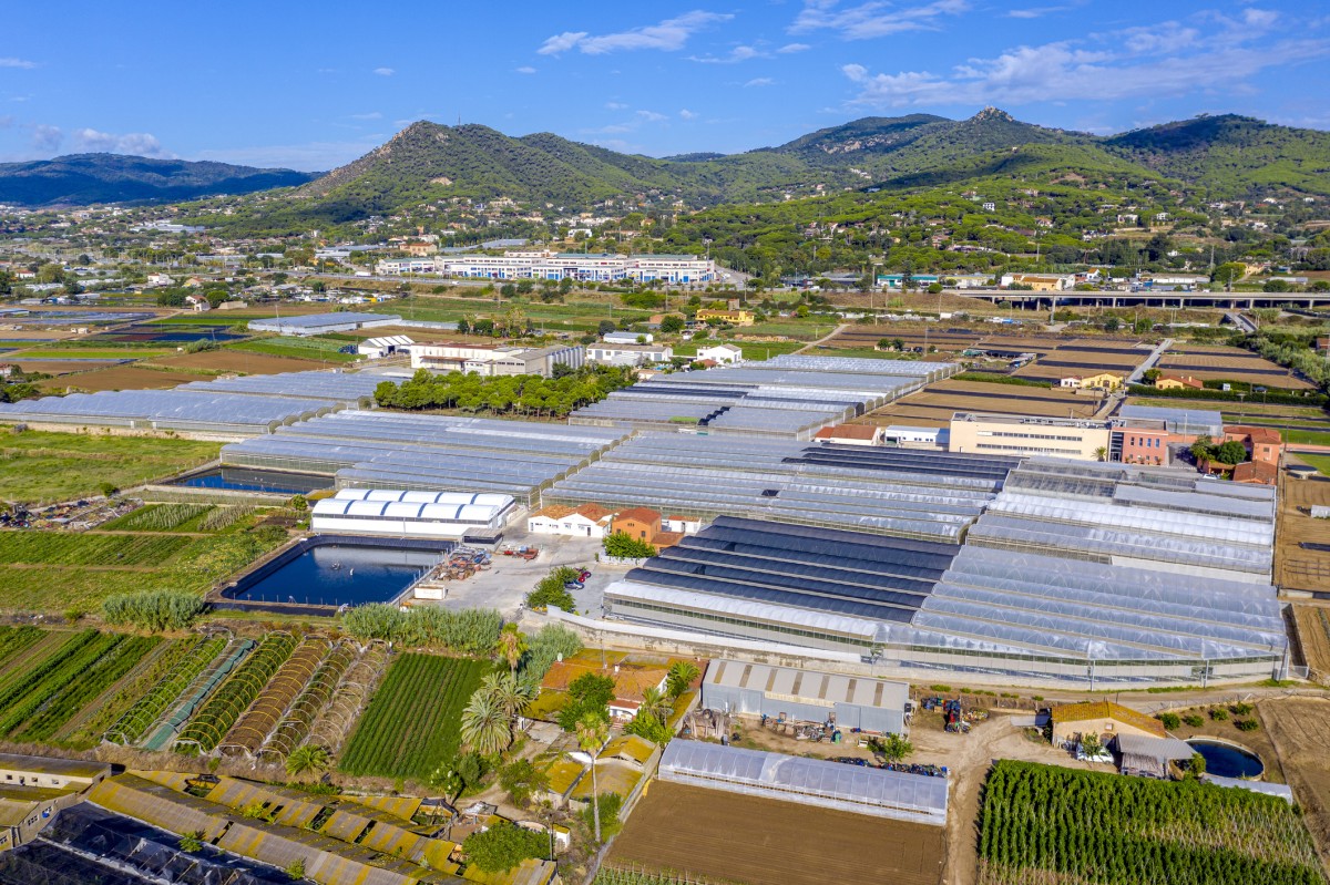 Vista de un invernadero de vidrio para el cultivo de vegetales y flores