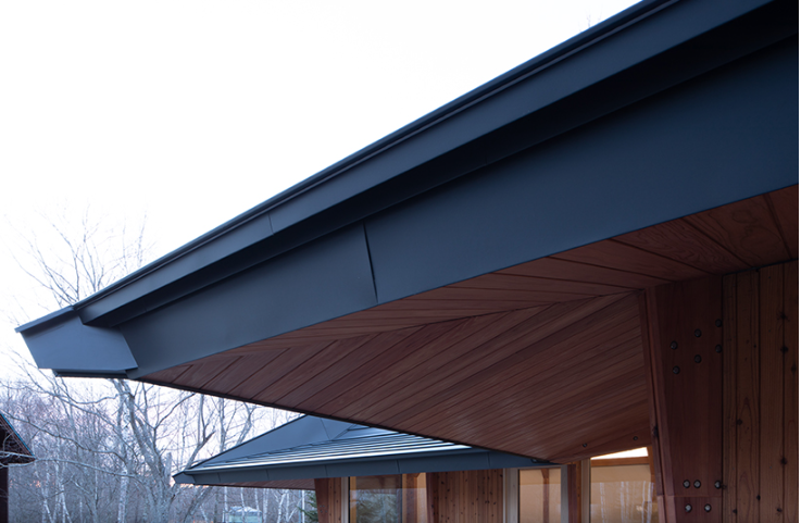 Detalle de la cubierta de color oscuro