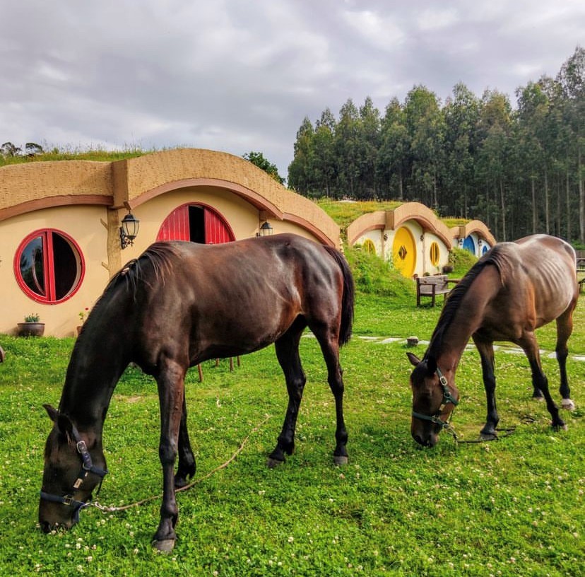 Actividades en las casas hobbit de Galicia