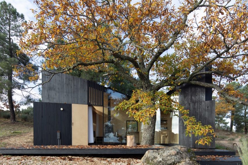 Una preciosa minicasa rural construida en torno a un árbol centenario