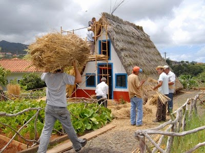 Construcción de la vivienda