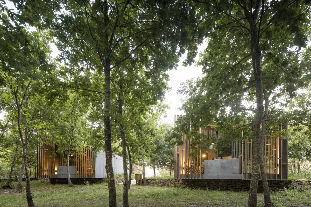 Cabañas escondidas entre los árboles