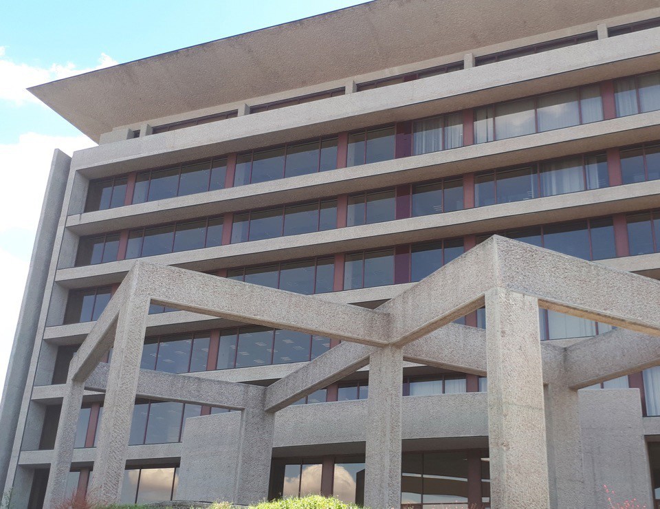 Buenas cifras de Haya Real Estate — idealista/news