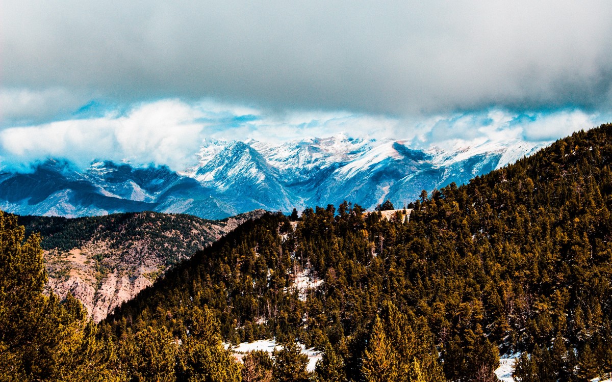 To be snowed under – Inglés Málaga