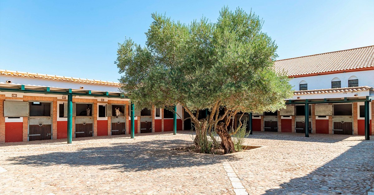 Está perfectamente acondicionada para la cría y cuidado de caballos