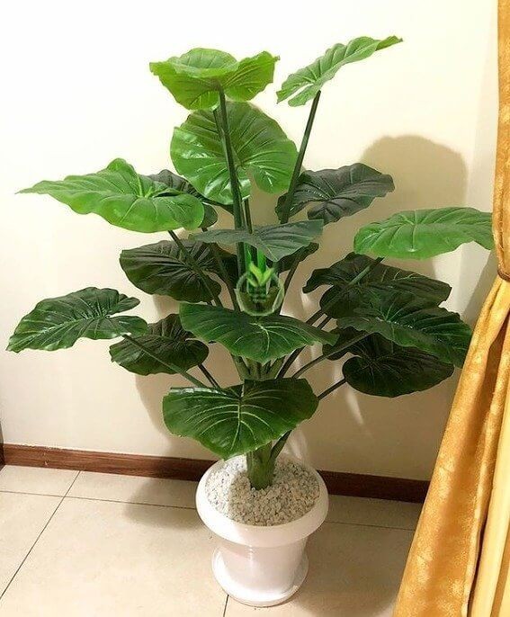 Planta artificial