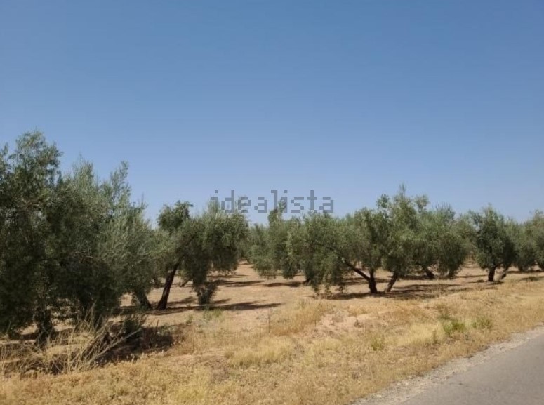 Terrenos de Aifos salen a subasta en Granada