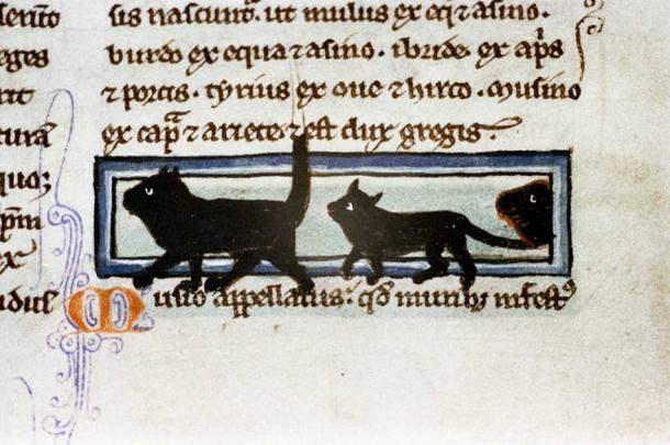 Un dibujo de dos gatos negros en un manuscrito medieval