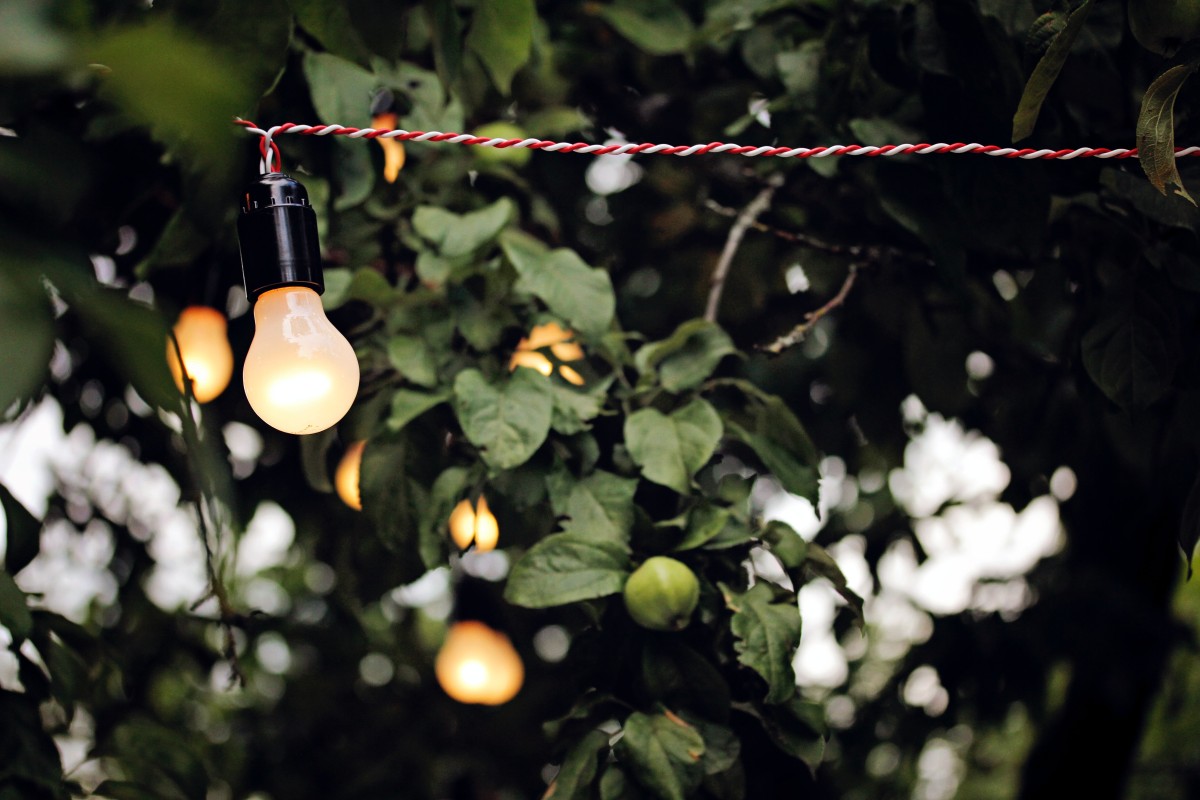 luces