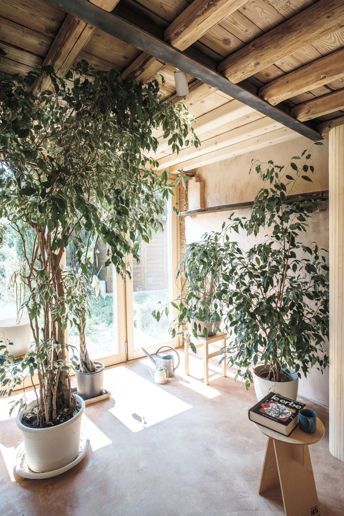 Terraza acristalada con plantas