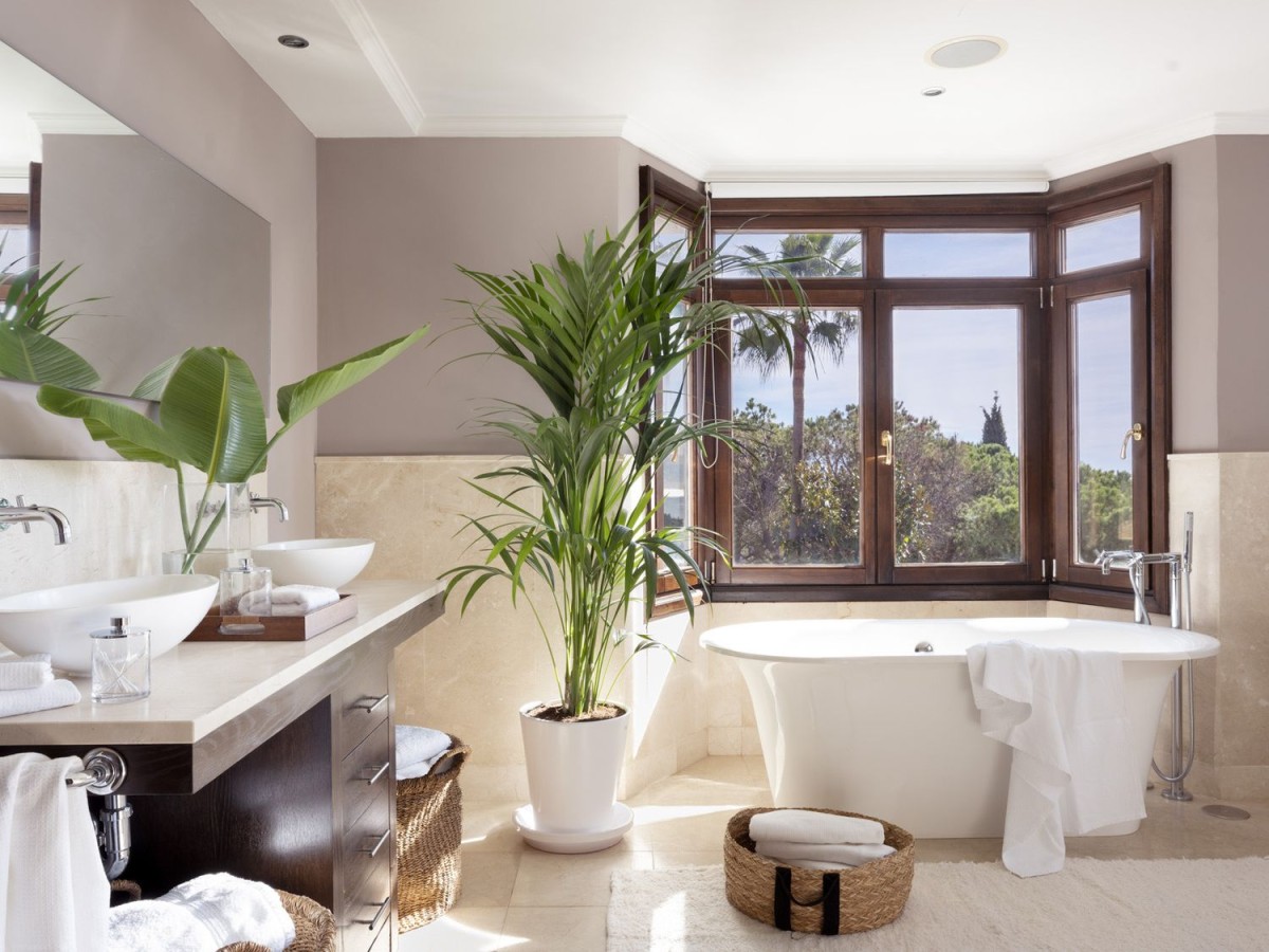 Salle de bains