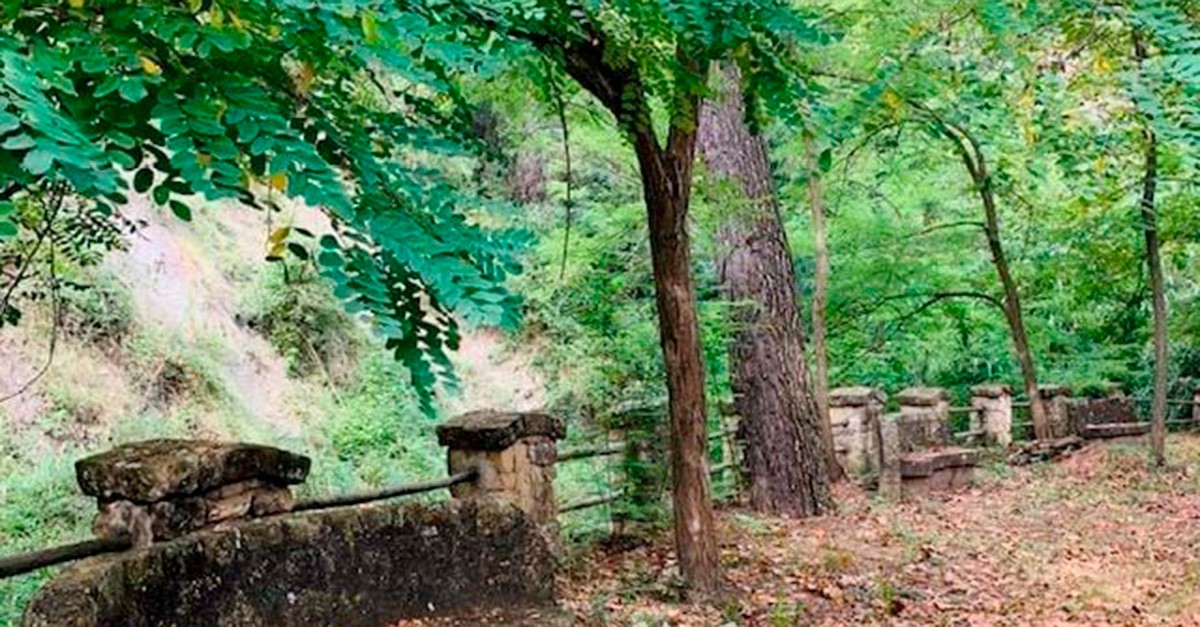 Hotel balneario en Igualada jardines