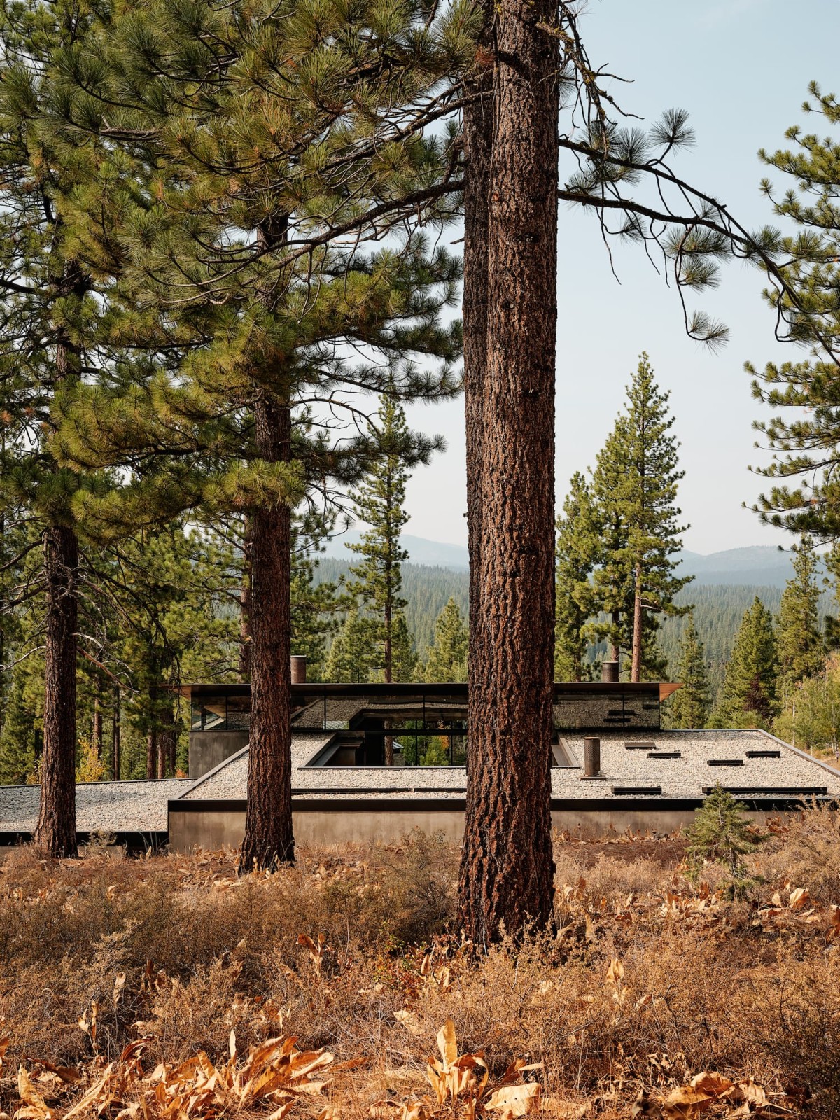 Exterior de la cabaña y techo