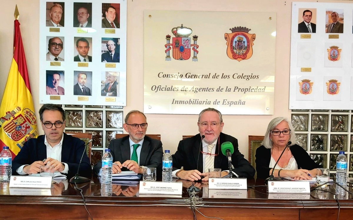 Consejo General de los Colegios Oficiales de Agentes de la Propiedad Inmobiliaria (COAPI) de España