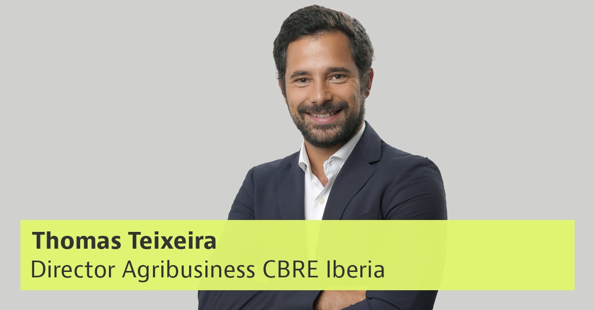  Thomas Teixeira es director senior del negocio inmobiliario agrícola para Iberia (España y Portugal) e Italia de CBRE