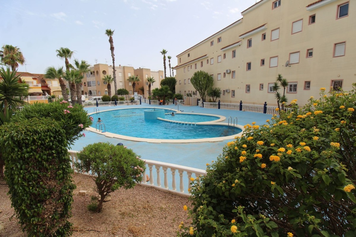 Baix amb terrassa i piscina a la venda a Alacant per 65.900 euros / idealista